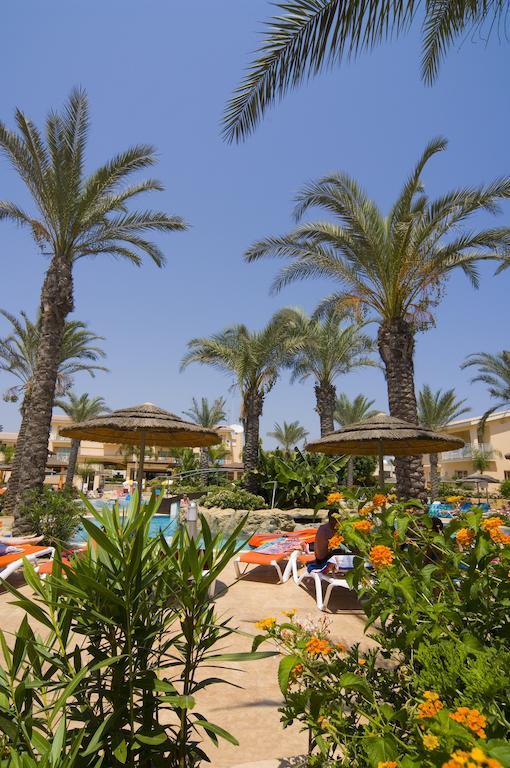 Tasia Maris Gardens Aya Napa Dış mekan fotoğraf